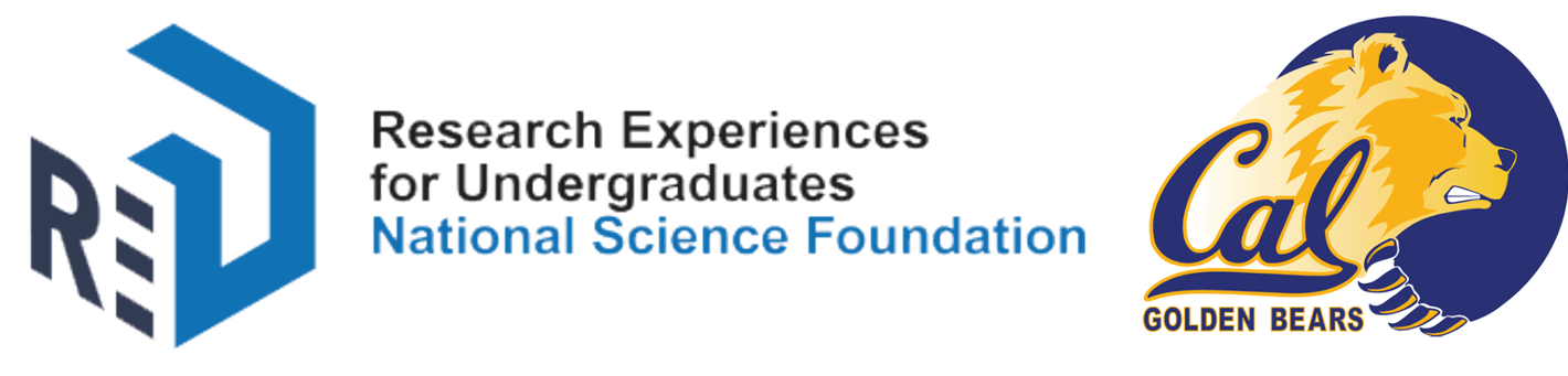 NSF LOGO