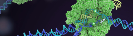 Cas9 Illustration Photo Credit IGI