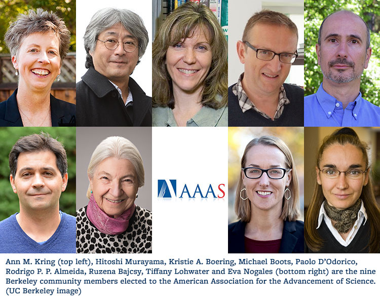 AAAS fellows