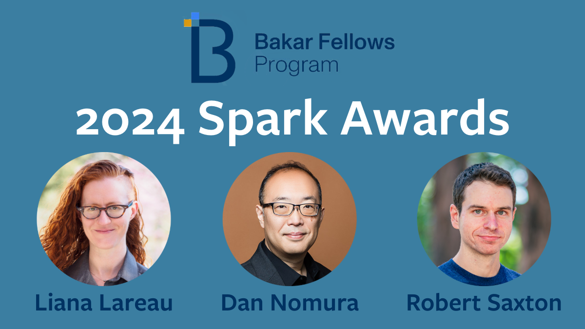 LareBakar Spark Awards