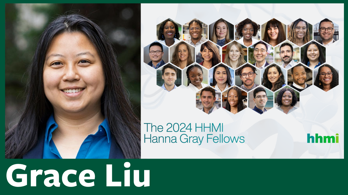 Grace Liu HHMI Hanna Gray Fellow 2024