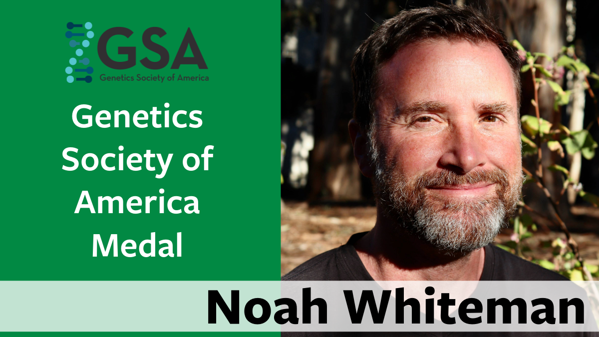 Noah Whiteman GSA award