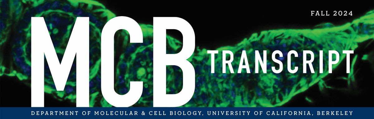 MCB Transcript Fall 2024 masthead