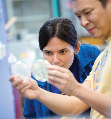 Assistant Professor Elçin Ünal in lab